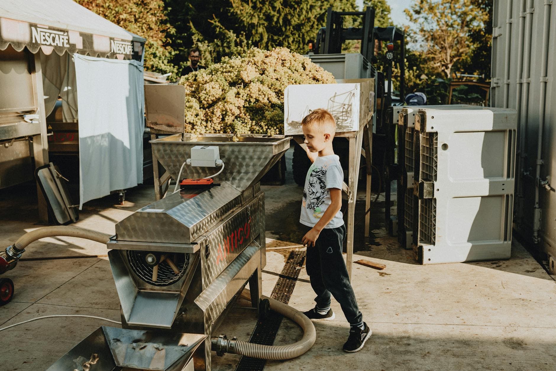 Creating Perfect Wine Region Itineraries