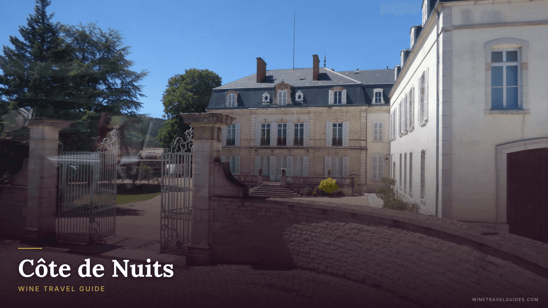Côte de Nuits Wine Travel Guide (Burgundy, France)