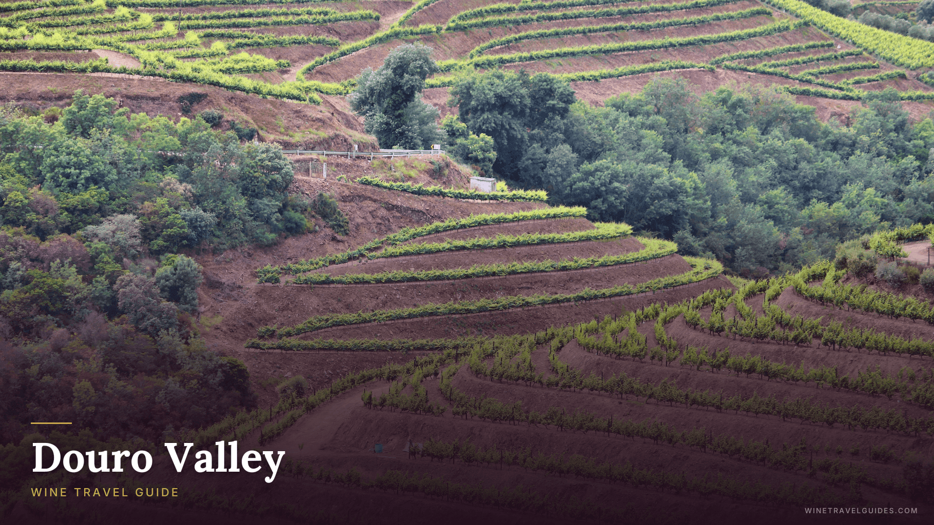 Douro Valley (Portugal)