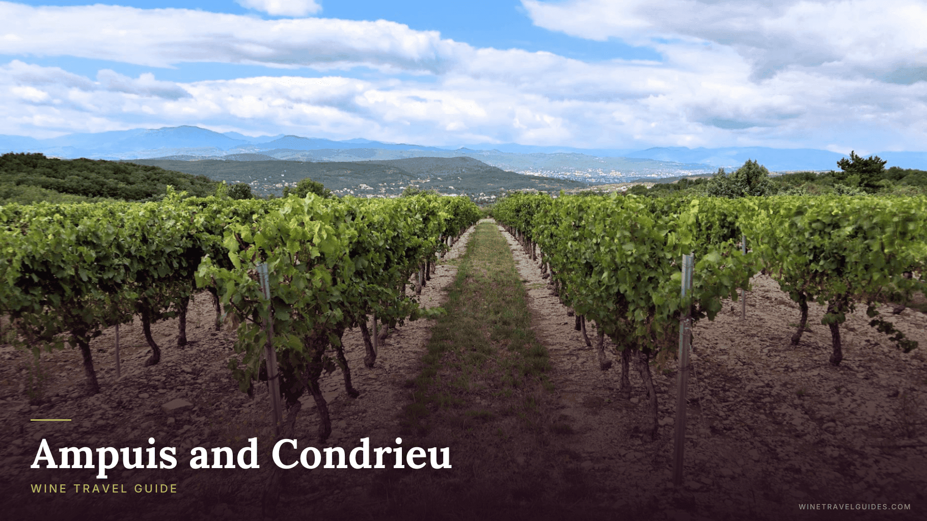 Ampuis and Condrieu Wine Travel Guide (Rhône Valley, France)