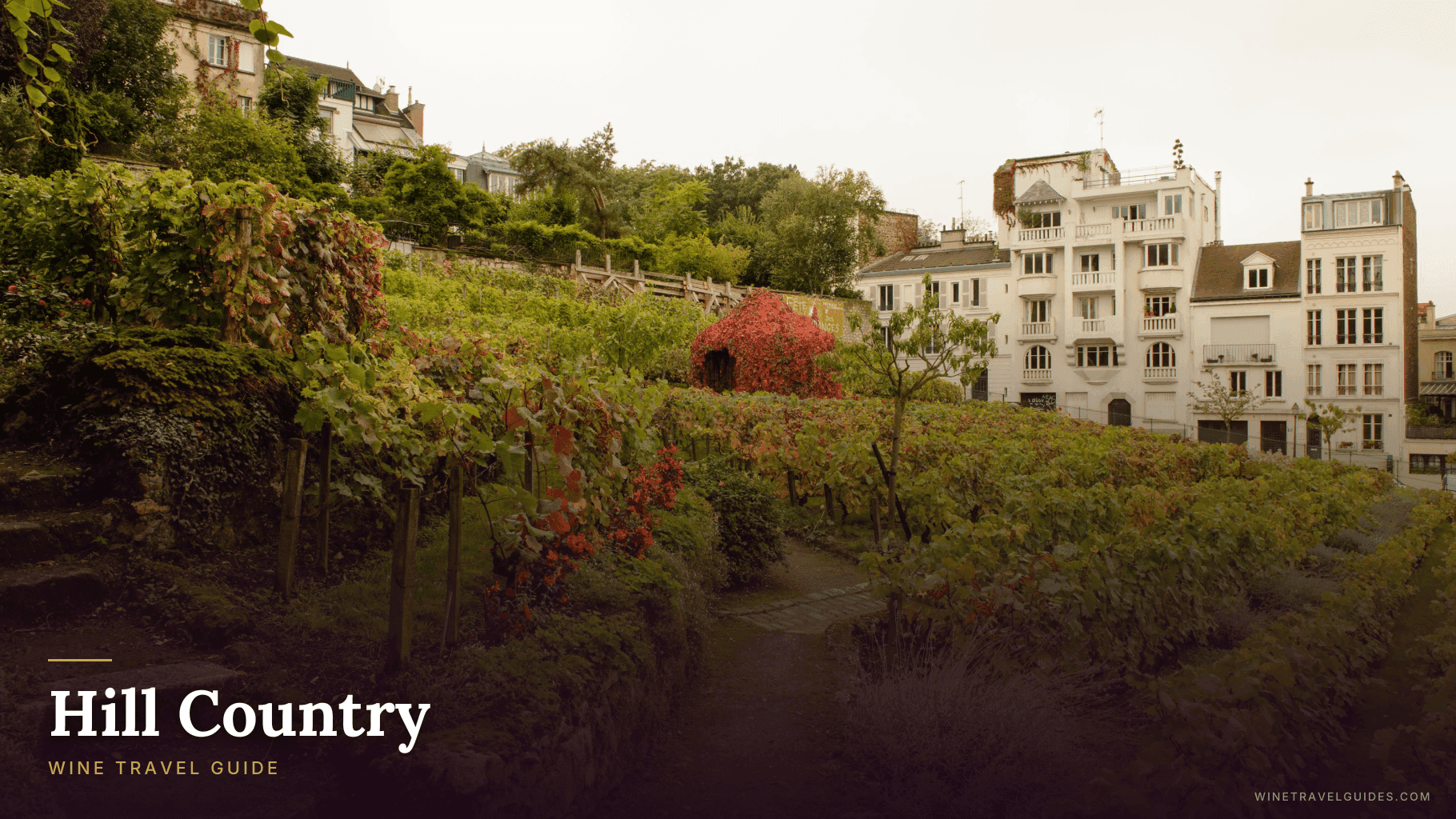 Hill Country Wine Travel Guide (Texas, United States)