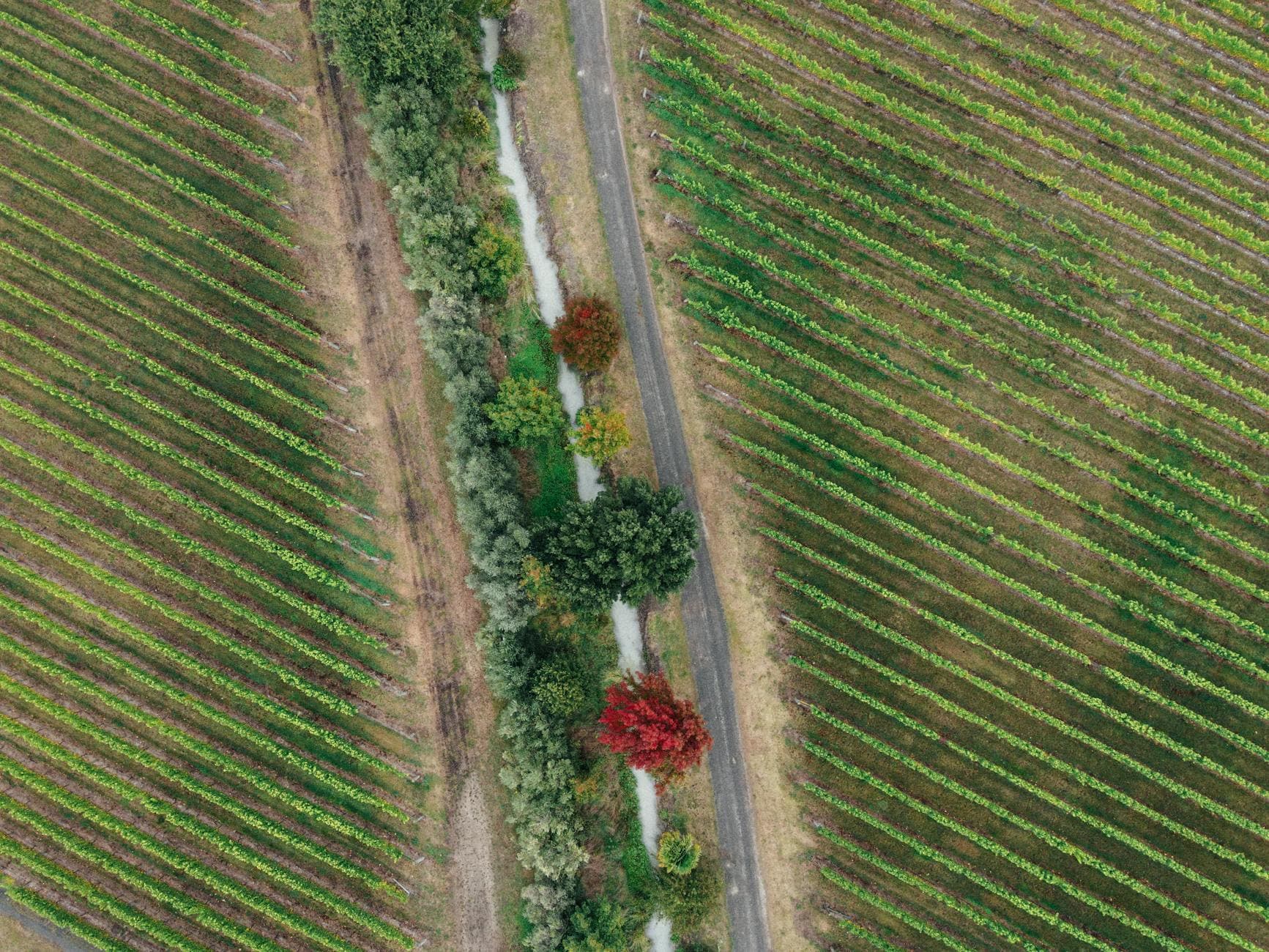 Where To Stay In Stellenbosch