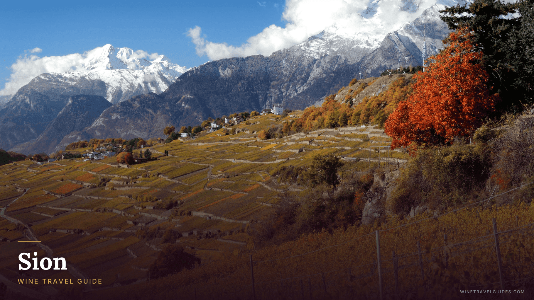 Sion Wine Travel Guide (Valais, Switzerland)