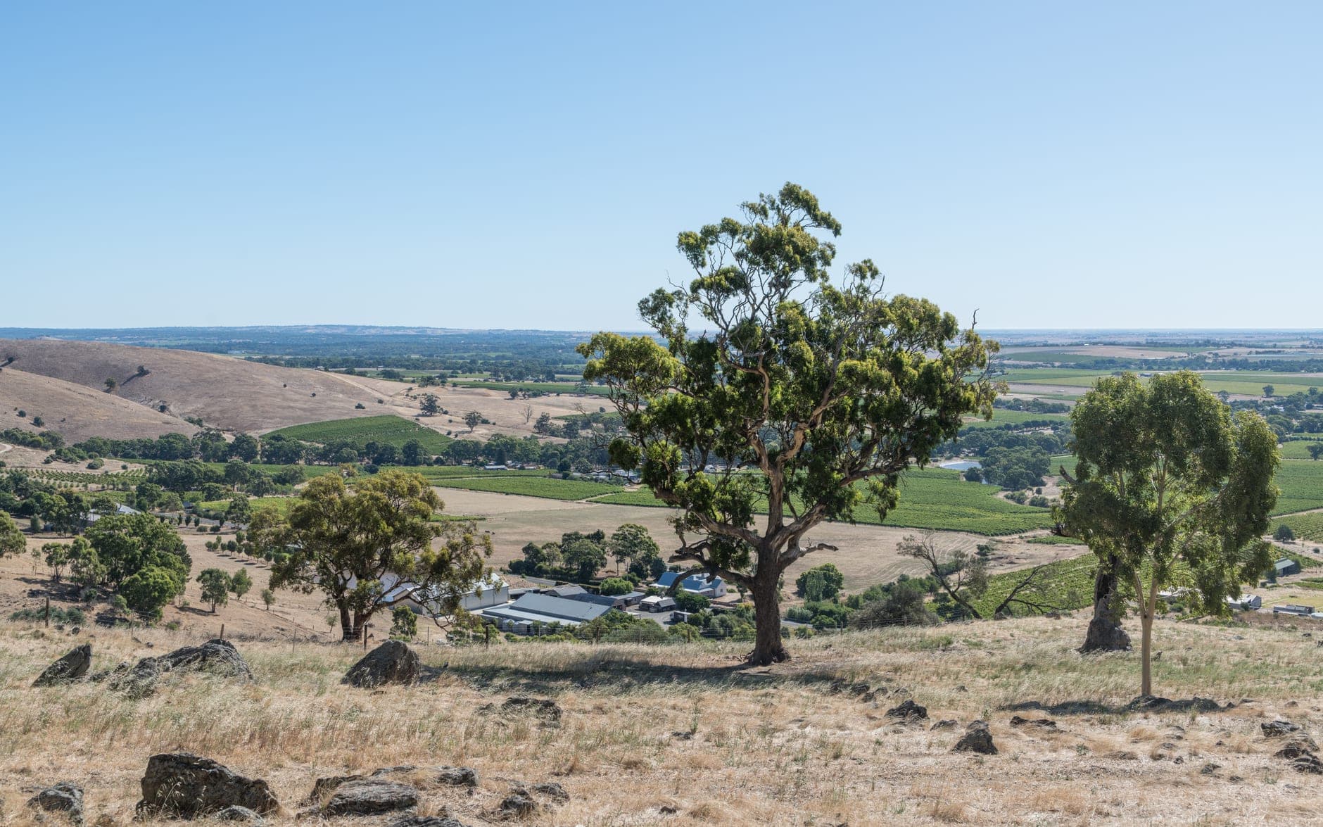 Barossa Valley Wine Travel Guide (South Australia, Australia)