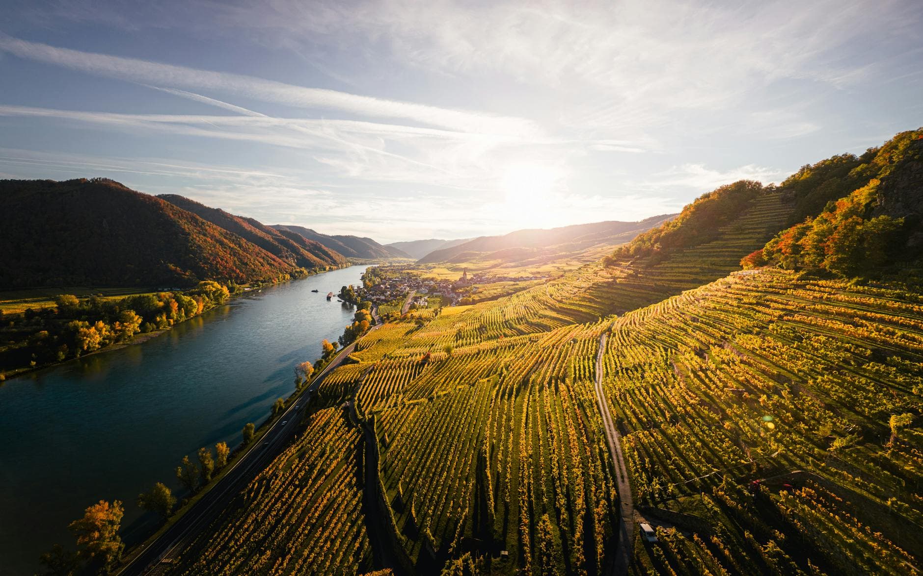 The Complete Guide to Austria's Wachau Valley Wine Region: Wineries, Trails & Tours