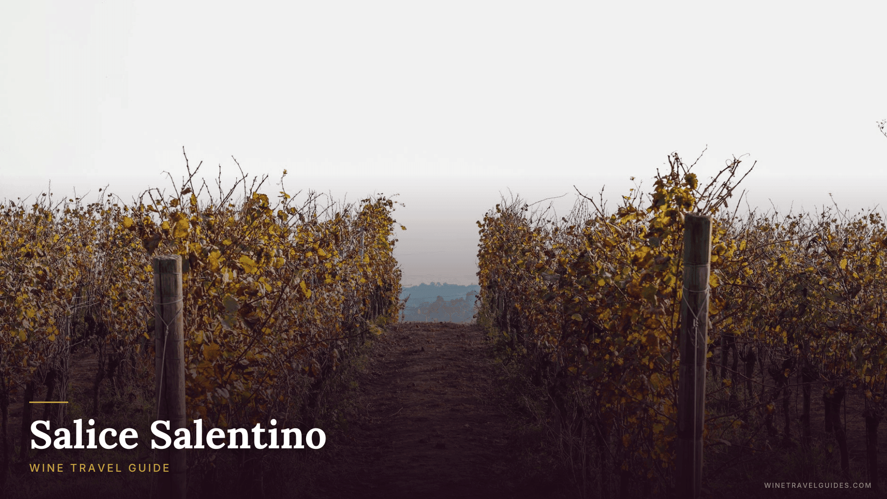 Salice Salentino Wine Travel Guide (Puglia, Italy)