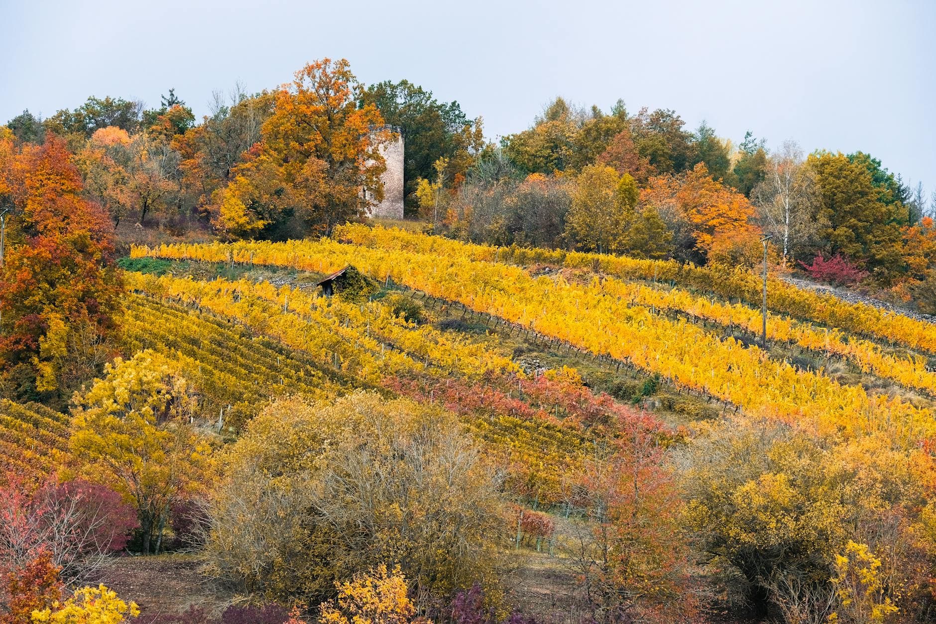 Where to Stay in Lombardy Wine Country: Complete 2026 Guide