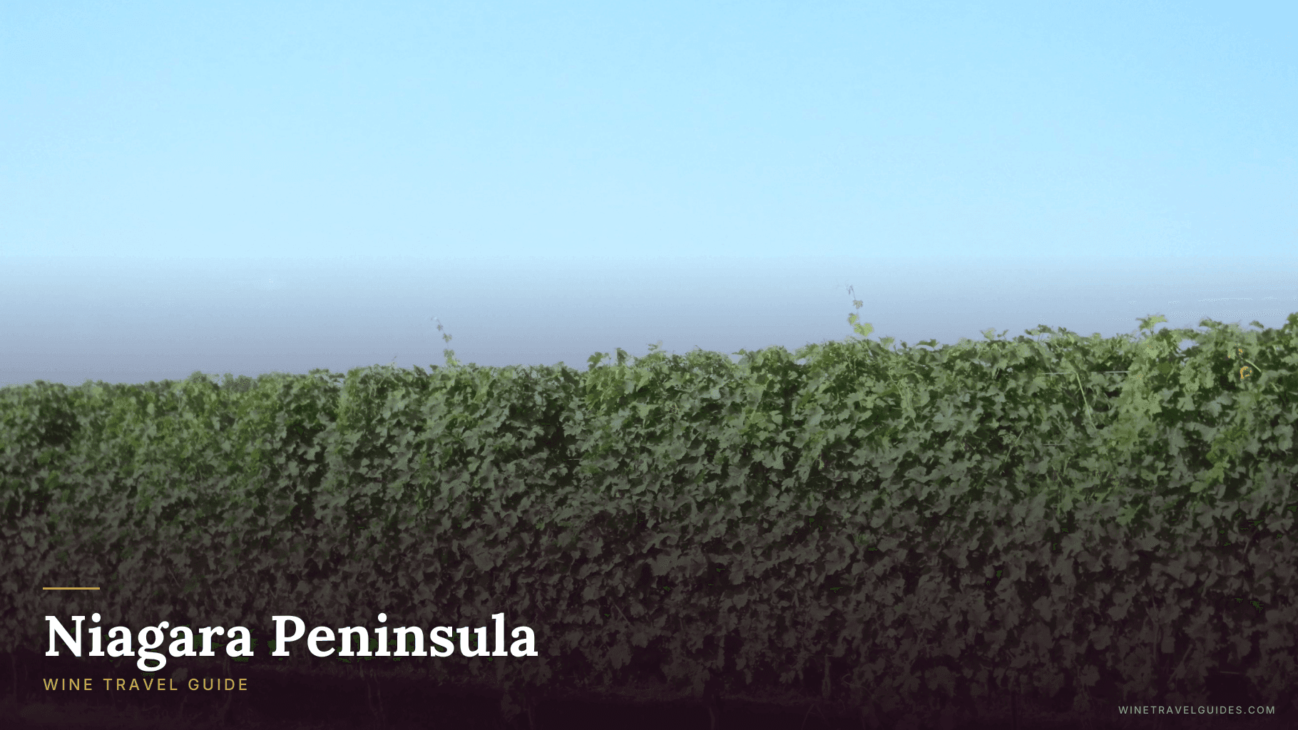 Niagara Peninsula Wine Travel Guide (Ontario, Canada)