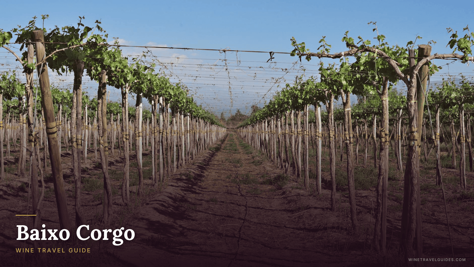 Baixo Corgo Wine Travel Guide (Douro Valley, Portugal)