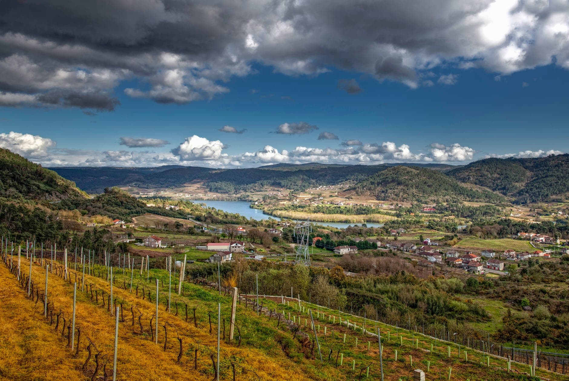 Ribeira Sacra Wine Travel Guide (Galicia, Spain)