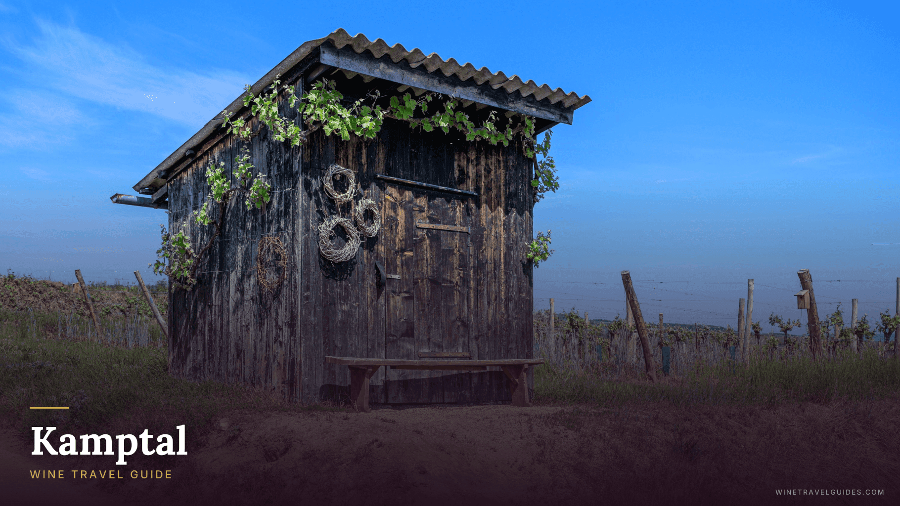 Kamptal Wine Travel Guide (Niederösterreich, Austria)