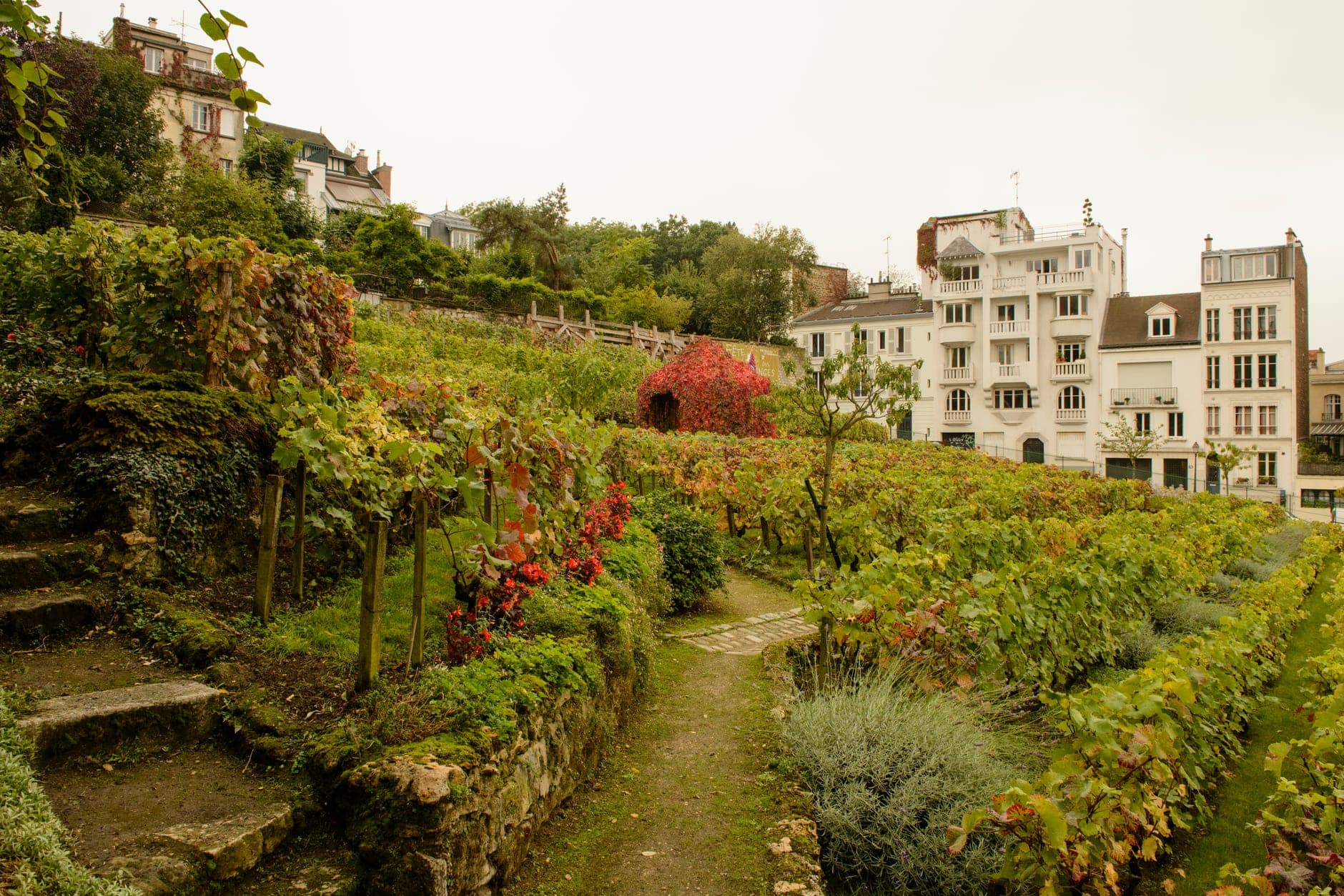 Hill Country Wine Travel Guide (Texas, United States)