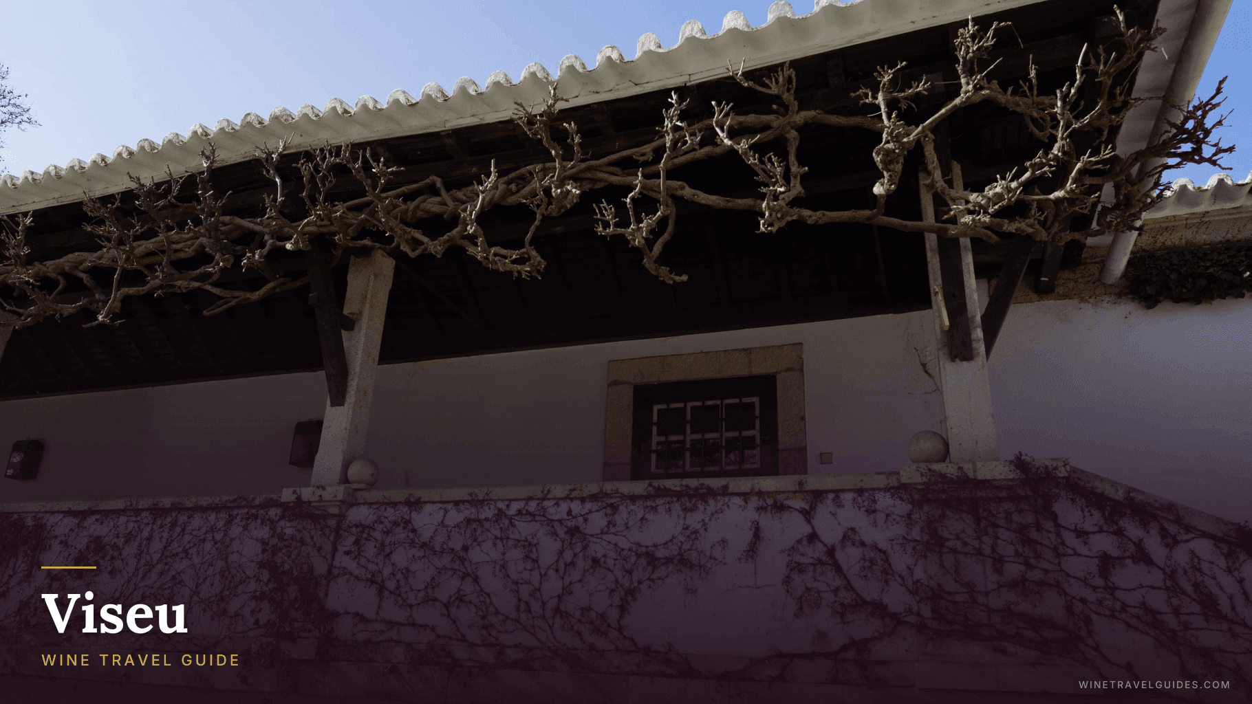 Viseu Wine Travel Guide (Dão, Portugal)