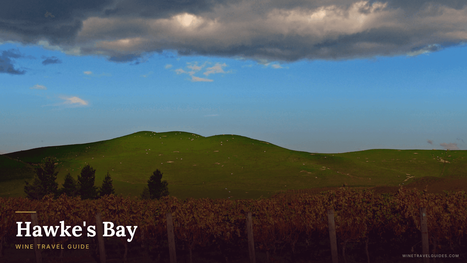 Hawke's Bay Wine Travel Guide (North Island, New Zealand)