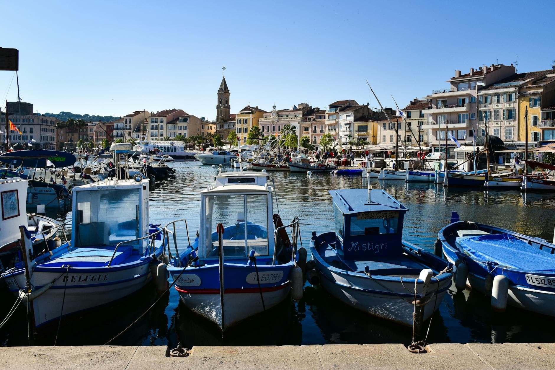Bandol & Cassis Wine Regions: Provence's Coastal Gems