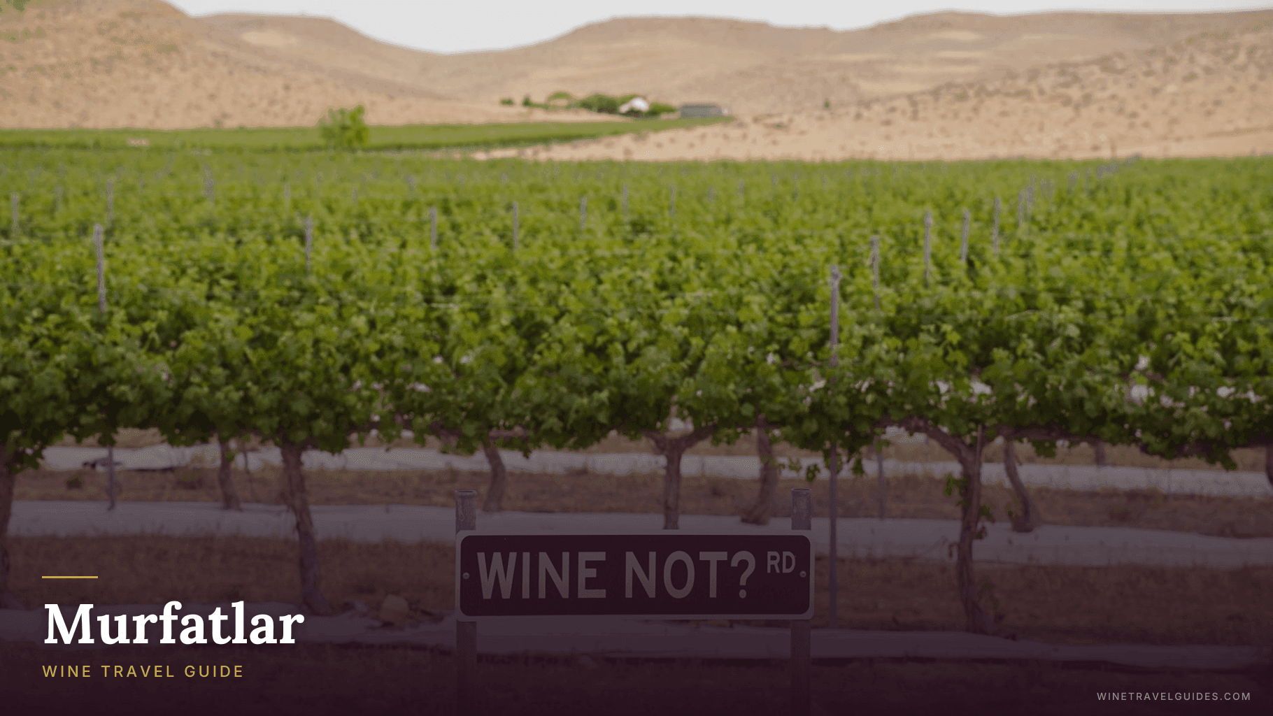 Murfatlar Wine Travel Guide (Dobrogea, Romania)