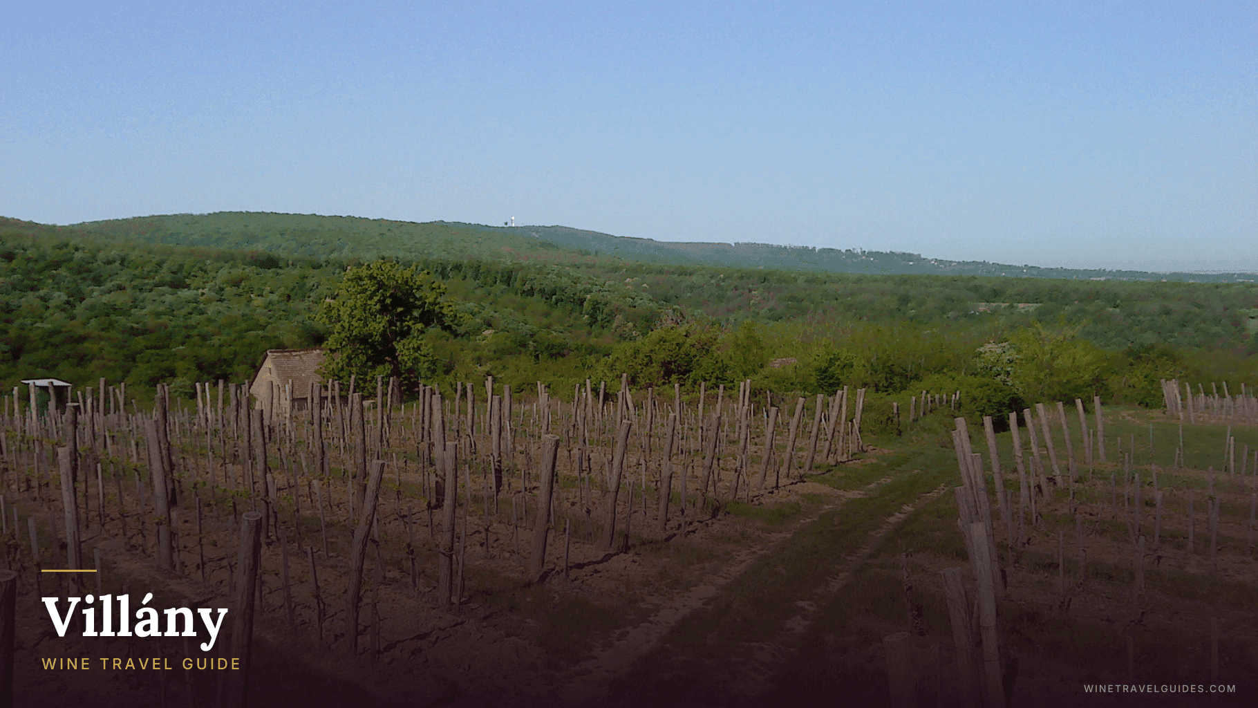Villány (Hungary)
