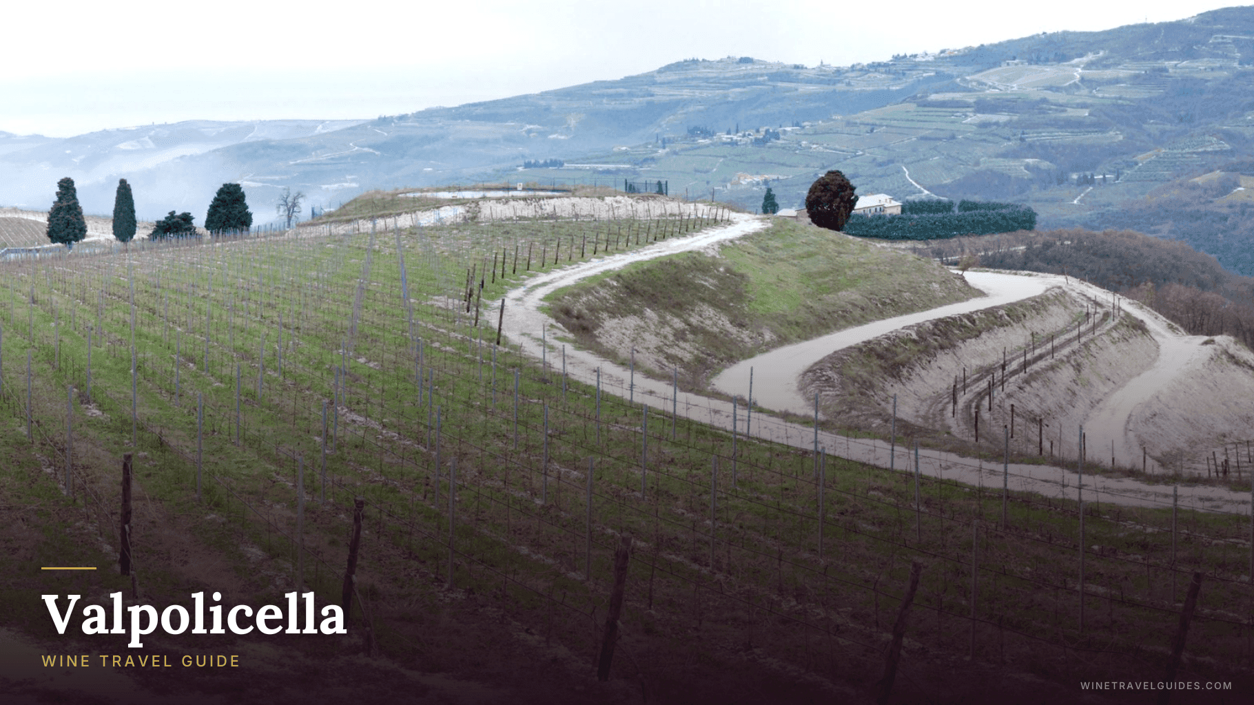 Valpolicella Wine Travel Guide (Veneto, Italy)