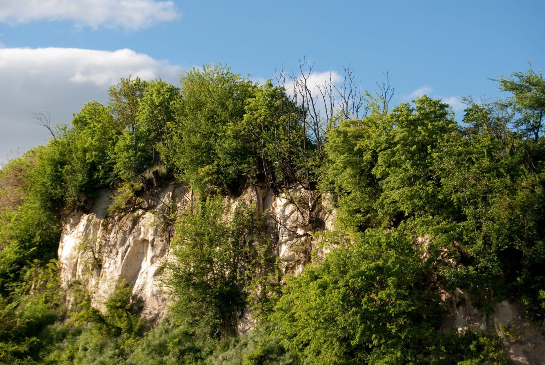 Roero Wine Travel Guide (Piedmont, Italy)