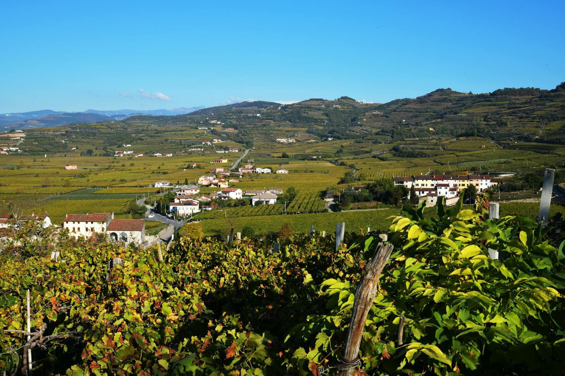Where to Stay in Veneto Wine Country: Complete 2026 Guide