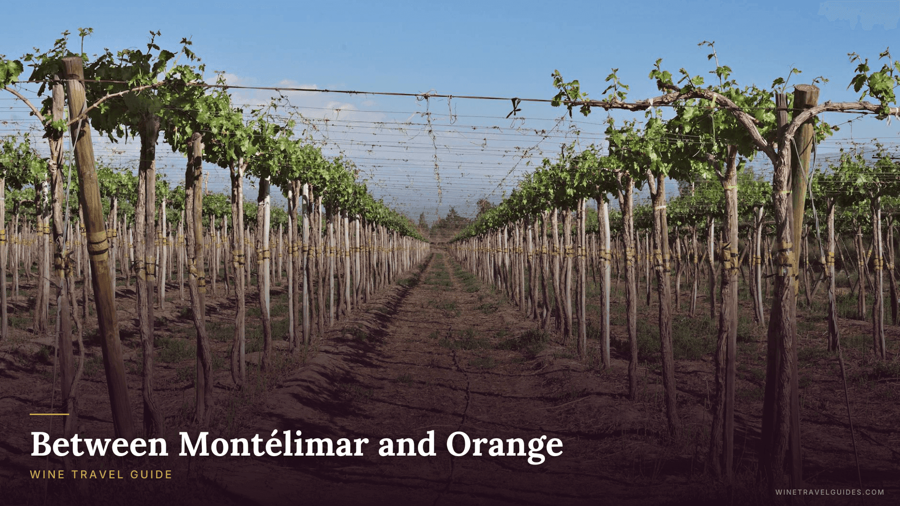 Between Montélimar and Orange Wine Travel Guide (Rhône Valley, France)