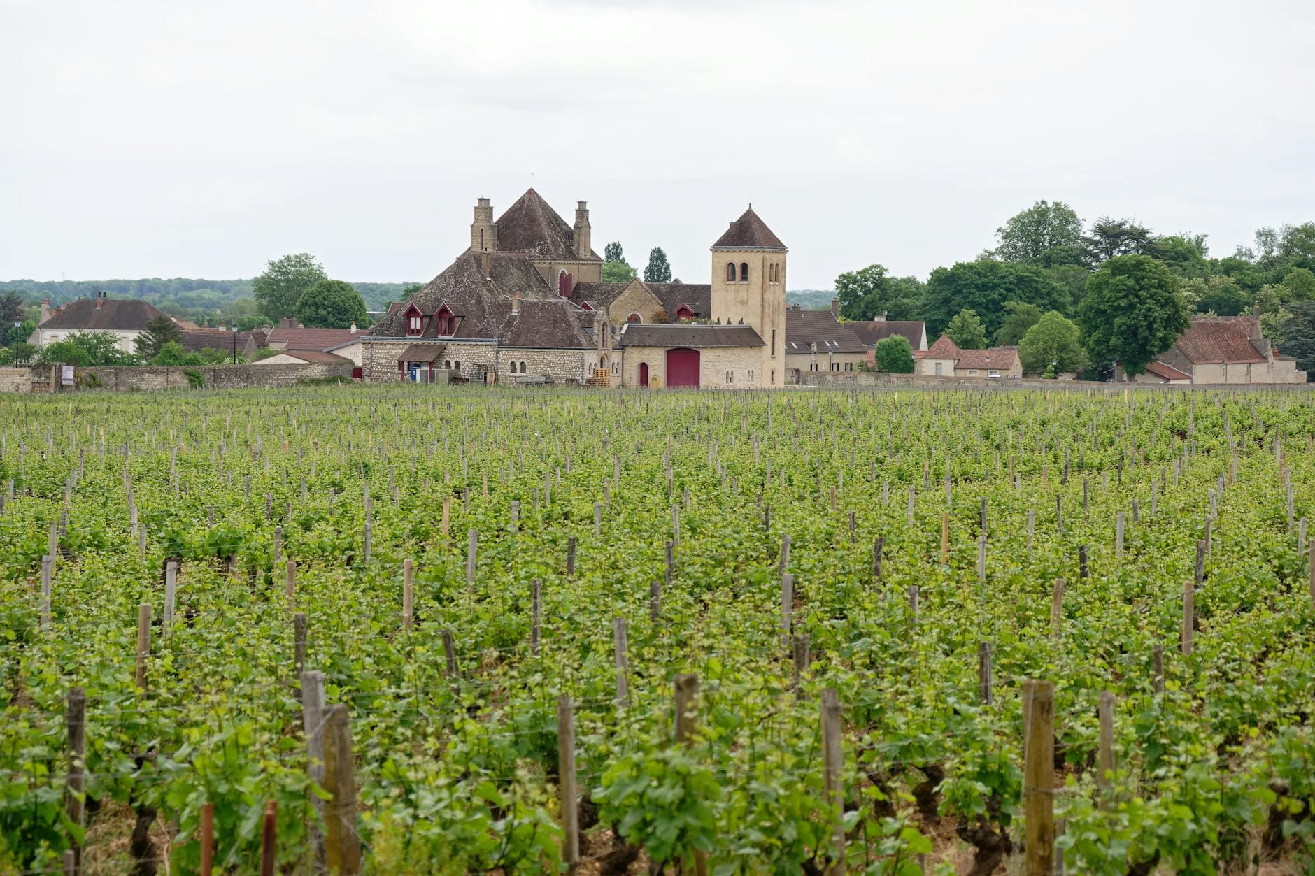 Where to Stay in Beaujolais Wine Country: Complete 2026 Guide