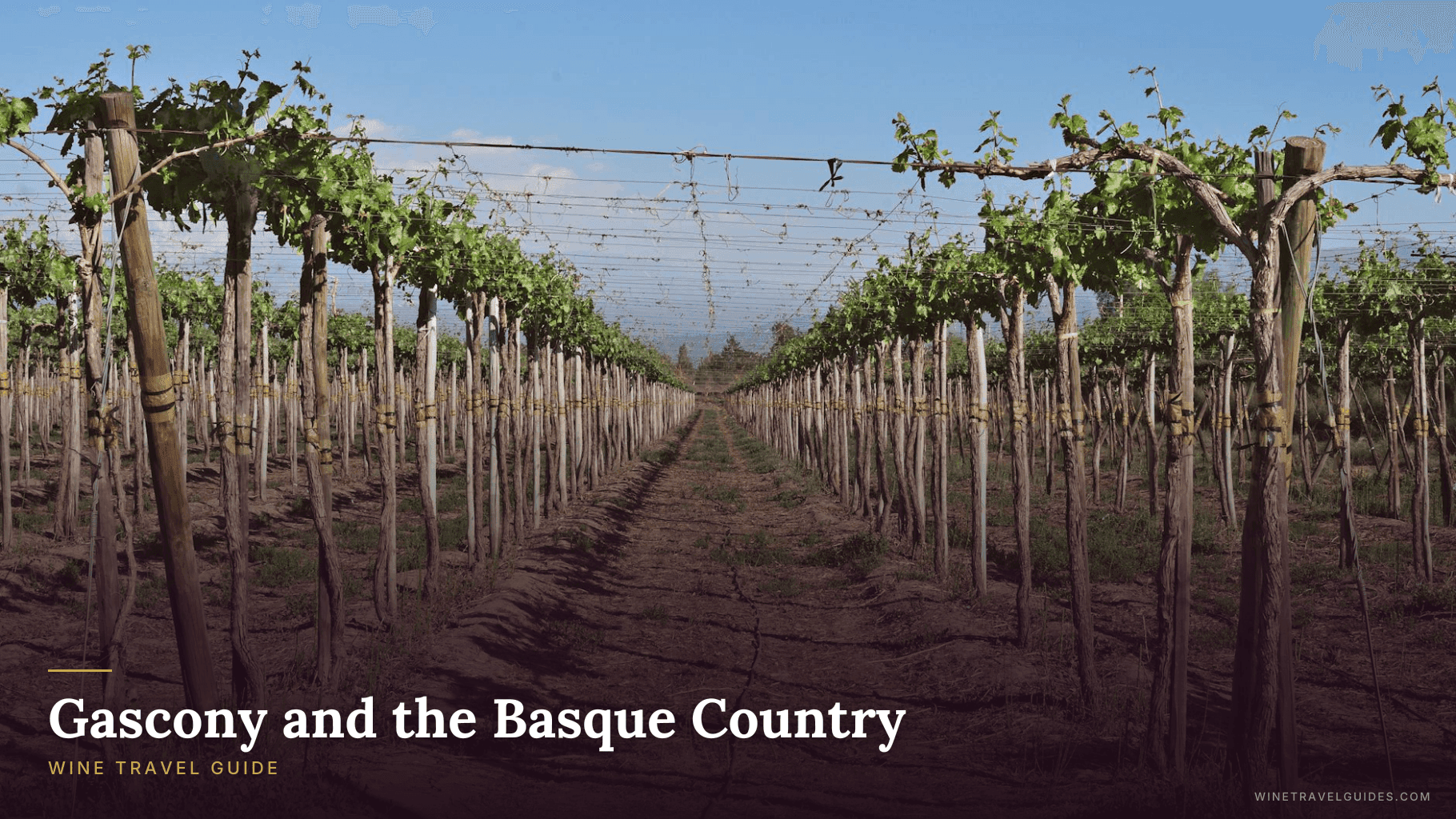 Gascony and the Basque Country Wine Travel Guide (South-West France)