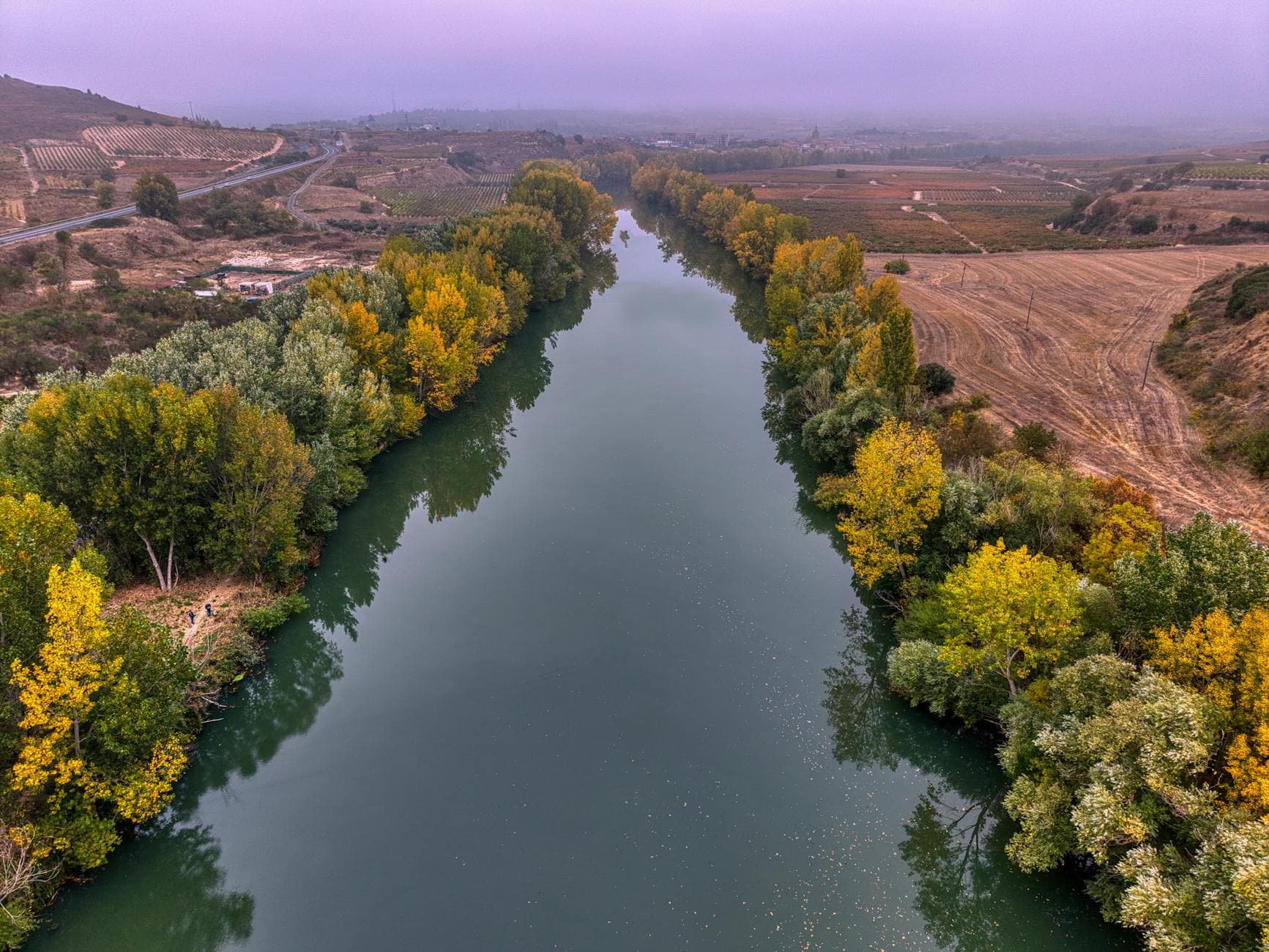Rioja vs Ribera del Duero: Spain's Two Great Red Wine Regions Compared